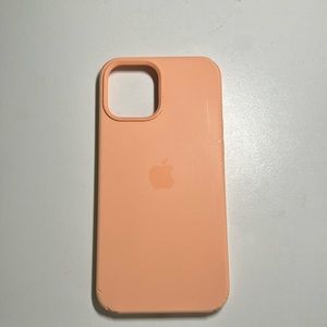 iPhone 12 Pro Max Case